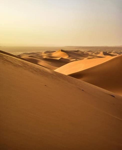 Dubai'de En Üst Düzey Kum Arabası Deneyimi 2026