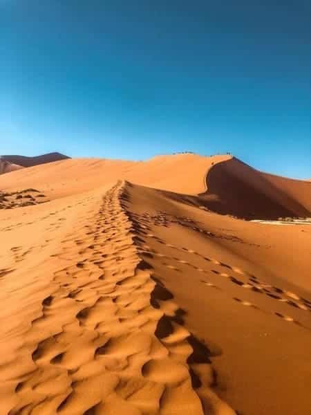 Dubai'de En Üst Düzey Kum Arabası Deneyimi 2026